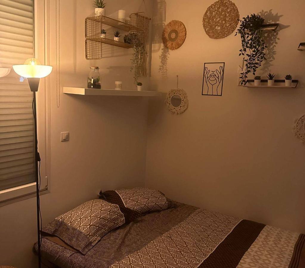 L'Oasis Cosy Apartment Villeurbanne Exterior photo